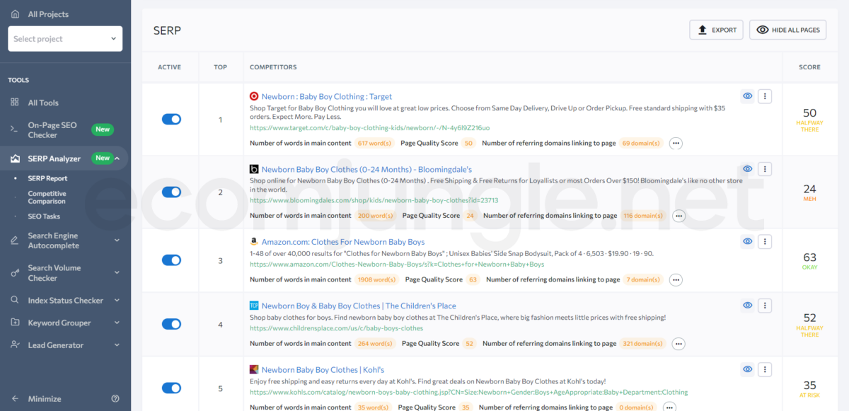 Within seconds SE Ranking offers you graphs with different metrics