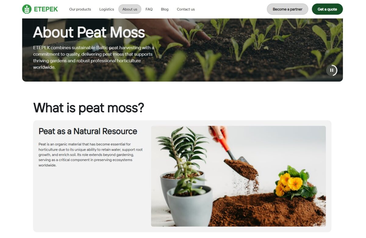 Etepek.com - SEO optimizēts mājaslapas saturs