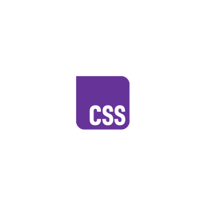 Stilu programmēšanas valoda CSS - logo