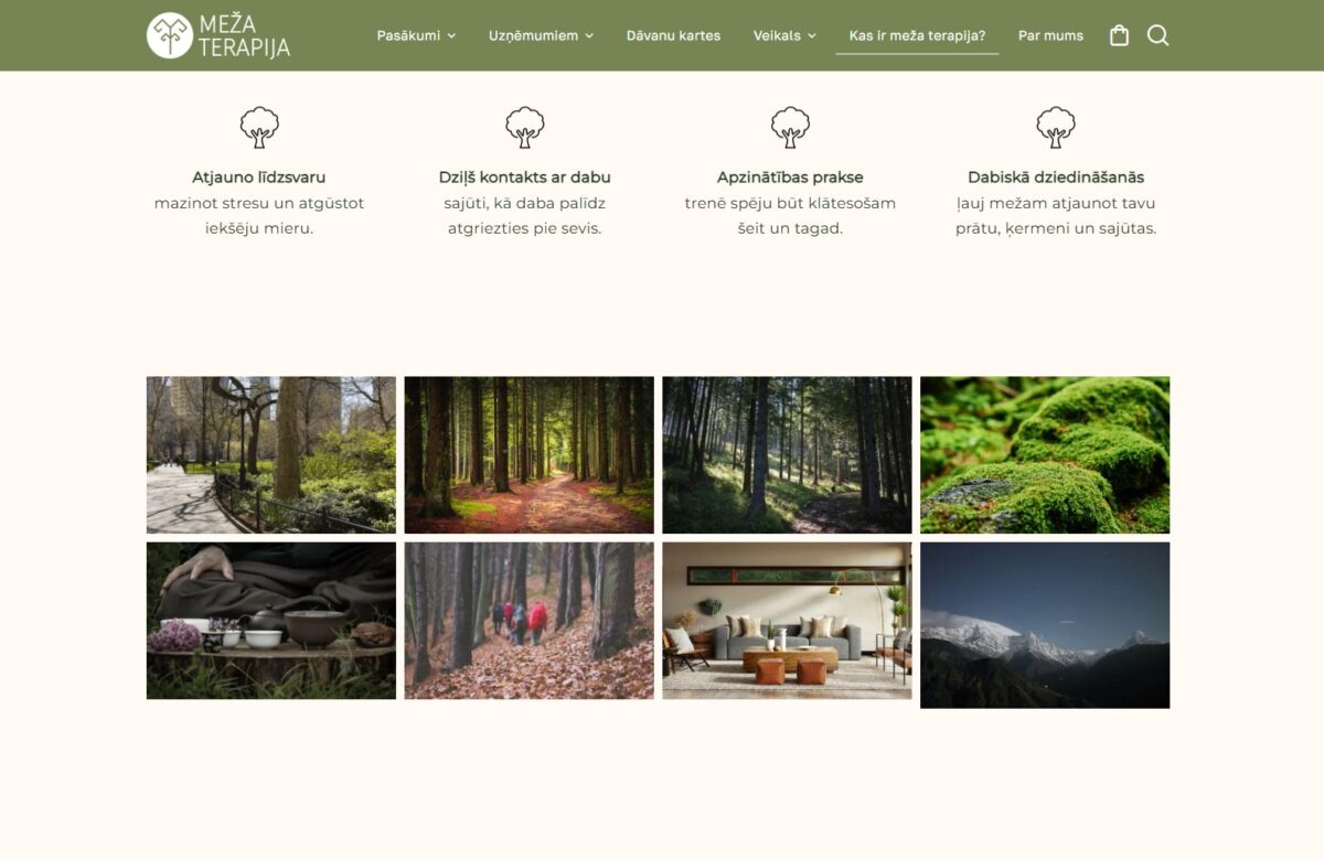 Pakalpojuma detalizēts apraksts - Mezaterapija.lv