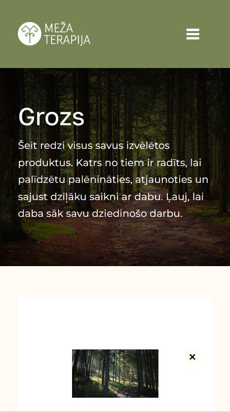Pirkuma grozs - Mezaterapija.lv - mobile