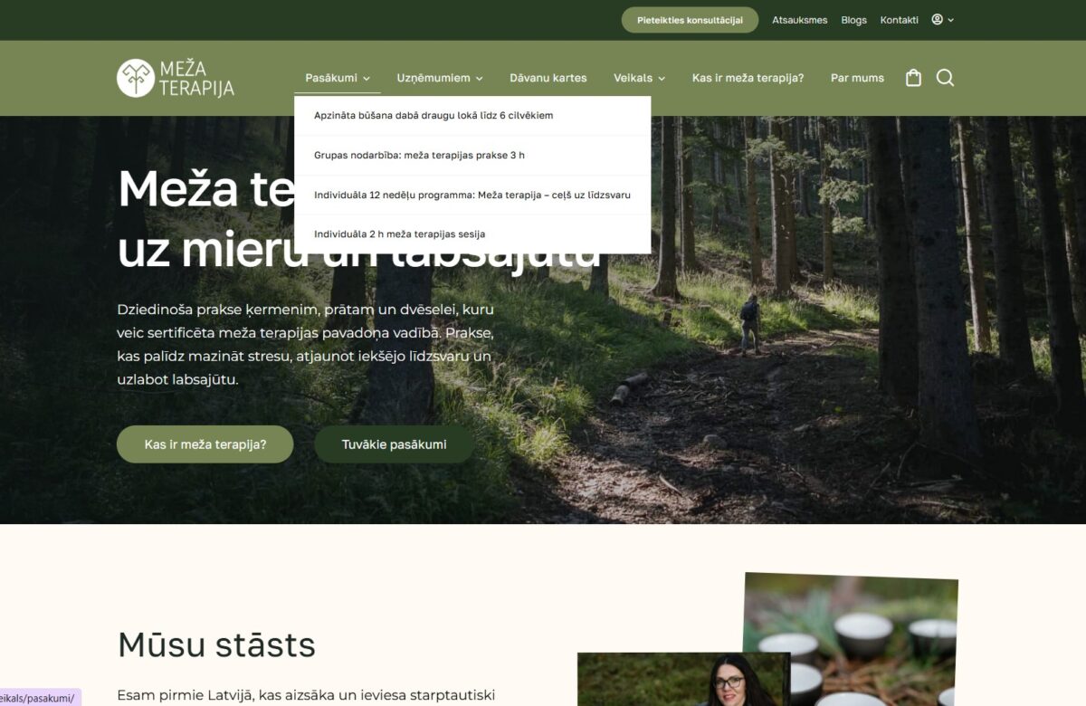 Mājaslapas navigācija - Mezaterapija.lv