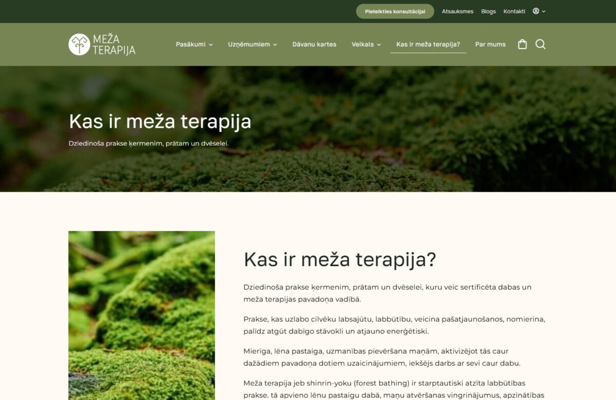 Par pakalpojumu - Mezaterapija.lv