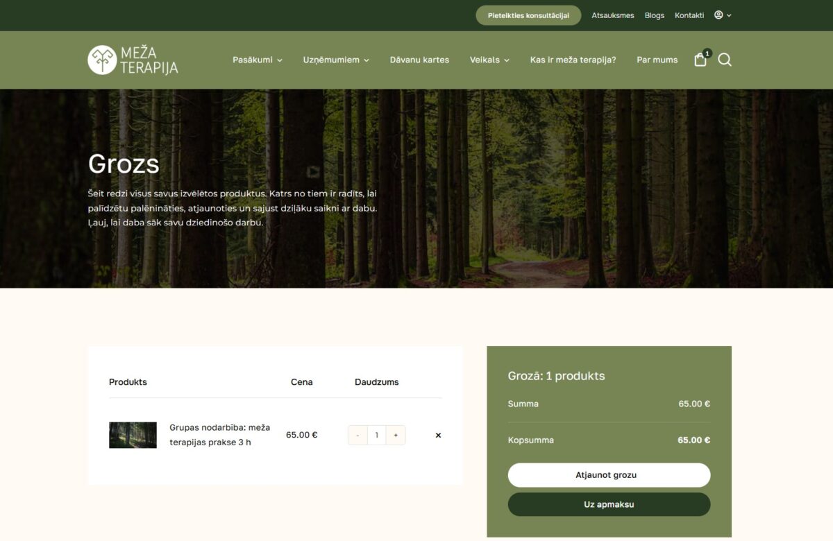 Pirkuma grozs - Mezaterapija.lv
