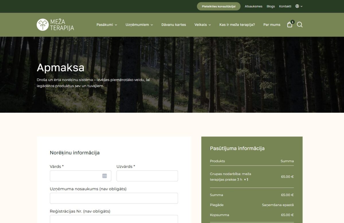 Pirkuma noformēšana - Mezaterapija.lv